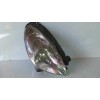 Recambio de faro derecho para citroën xsara picasso 1.6 16v hdi referencia OEM IAM 9631494980  