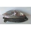 Recambio de faro derecho para citroën xsara picasso 1.6 16v hdi referencia OEM IAM 9631494980  