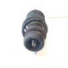 Recambio de amortiguador delantero derecho para audi a3 (8l) referencia OEM IAM 1J0413031CP  