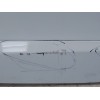 Recambio de puerta trasera izquierda para renault scenic iii referencia OEM IAM 821017991R  