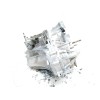 Recambio de caja cambios para renault scenic ii 1.5 dci diesel referencia OEM IAM TL4000  