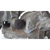 Recambio de pinza freno delantera izquierda para skoda fabia (5j2 ) young referencia OEM IAM 11819000671 1670 
