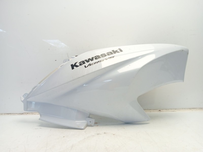 Recambio de moldura para kawasaki versys 650 referencia OEM IAM 550280563  