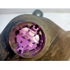 Recambio de faro derecho para fiat 500 cabrio (150) referencia OEM IAM 51787491  