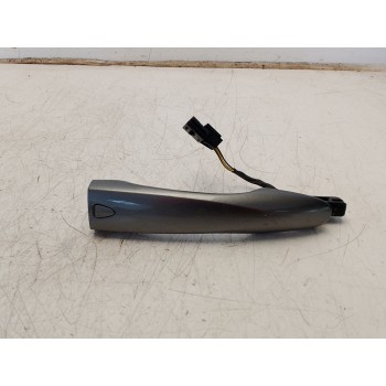 MANETA EXTERIOR DELANTERA IZQUIERDA 806404EA0A 