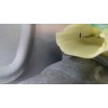 Recambio de elevalunas delantero derecho para kia carens (un) concept referencia OEM IAM 824801DXXX 82480 