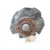 Recambio de mangueta delantera derecha para bmw serie 3 touring (e46) 330d referencia OEM IAM 31211096430  