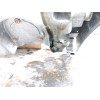 Recambio de motor completo para seat ibiza (6l1) stella referencia OEM IAM 038100103MX ASY 