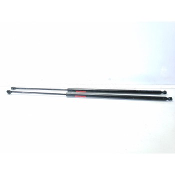 AMORTIGUADORES MALETERO / PORTON 8200162697 