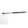 Recambio de amortiguadores capo para smart roadster 0.7 turbo cat referencia OEM IAM 0009223V004  
