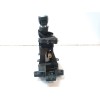 Recambio de palanca cambio para toyota c-hr hybrid active referencia OEM IAM 33560F4050  