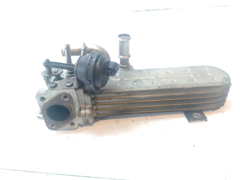 Recambio de enfriador egr para volkswagen passat berlina (3c2) advance referencia OEM IAM 03G131513  