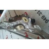 Recambio de motor limpia delantero para nissan 350 z (z33) básico referencia OEM IAM 39058LA  