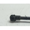 Recambio de amortiguador porton trasero derecho para seat leon (1p1) 1.6 tdi referencia OEM IAM 1P9827550  