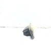 Recambio de maneta exterior porton para toyota corolla (e21) hybrid advance referencia OEM IAM 8480412050  