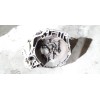 Recambio de caja cambios para opel combo d kasten l1h1 2,2t referencia OEM IAM CASCO  