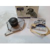 Recambio de bomba agua para nissan qashqai (j10) 1.5 dci turbodiesel cat referencia OEM IAM R227  
