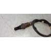 Recambio de sonda lambda para seat ibiza (6p1) style referencia OEM IAM 04L906262C  