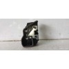 Recambio de cerradura puerta trasera derecha para bmw x3 (e83) 2.0d referencia OEM IAM 7036172  