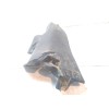 Recambio de moldura para toyota corolla (e21) hybrid advance referencia OEM IAM 6255202720C0  