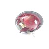 Recambio de piloto trasero izquierdo para volkswagen new beetle (9c1/1c1) 1.6 referencia OEM IAM 269021L  