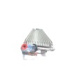 Recambio de radiador gasoil para volkswagen passat berlina (3c2) 2.0 tdi referencia OEM IAM 3C0201898B  