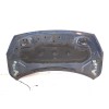 Recambio de capot para bmw serie 2 gran tourer (f46) 2.0 16v referencia OEM IAM 41117424742  
