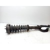 Recambio de amortiguador delantero izquierdo para bmw x5 (e70) xdrive 30 d referencia OEM IAM 31326781918  