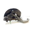 Recambio de mangueta delantera derecha para bmw x5 (e70) xdrive 30 d referencia OEM IAM 31216869870  