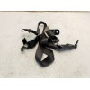 Recambio de cinturon seguridad trasero derecho para kia carens ( ) referencia OEM IAM 89820A4000DCM  