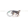 Recambio de cerradura puerta trasera derecha para toyota yaris feel referencia OEM IAM 02014110  