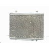 Recambio de radiador agua para peugeot 407 2.0 16v hdi fap cat (rhh / dw10cted4) referencia OEM IAM 133387  