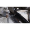 Recambio de puente trasero para lexus is200 (ds2/is2) 2.2 d-cat referencia OEM IAM 5120630100  