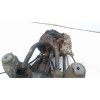 Recambio de diferencial trasero para audi a6 avant (4b5) referencia OEM IAM 1R500044G 4B0505311 4B0505235CA
