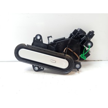 MANETA EXTERIOR DELANTERA IZQUIERDA 69202F4110 
