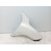 Recambio de aleta delantera derecha para nissan juke (f15) 1.6 referencia OEM IAM F3100BV8MA  