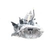 Recambio de caja cambios para renault megane iii sport tourer expression referencia OEM IAM JR5175  