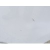 Recambio de puerta trasera izquierda para lexus rx (_l1_) 450h awd (gyl15, gyl15_) referencia OEM IAM 6700448130  