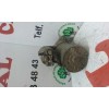 Recambio de motor arranque para daewoo kalos 1.2 se sport referencia OEM IAM 10455506  