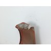 Recambio de aleta delantera derecha para ford focus turn. (cb8) titanium referencia OEM IAM 2171302  