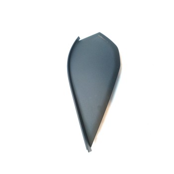 MOLDURA 689216141R 