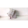 Recambio de deposito expansion para seat ibiza (kj1) fr referencia OEM IAM 200121407  