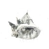 Recambio de caja cambios para renault clio iii 1.5 dci diesel cat referencia OEM IAM JR5164  