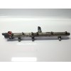 Recambio de rampa inyectora para kia carens 2.0 turbodiesel cat referencia OEM IAM 445214075 281002405 281002732