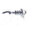 Recambio de amortiguador delantero para audi q5 (8r) 3.2 fsi referencia OEM IAM 8K0412391F  
