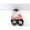 Recambio de correa accesorios para citroën c4 coupe referencia OEM IAM 6PK905  