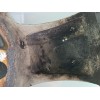 Recambio de llanta para lexus is200 (ds2/is2) 2.2 d-cat referencia OEM IAM 4261A53160  