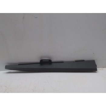 MOLDURA 689215499R 