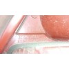 Recambio de piloto trasero izquierdo para renault clio ii (bb_, cb_) 1.5 dci (b/cb3m) referencia OEM IAM 8200917488  