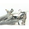 Recambio de puente trasero para toyota c-hr referencia OEM IAM 51206F4013  